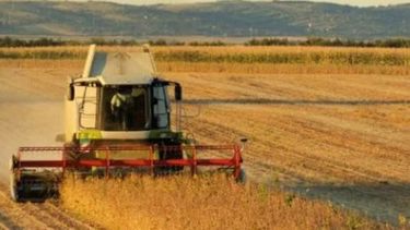 "El bolsillo del productor es uno solo"