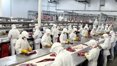 La producción de carne vacuna creció más de 20 por ciento en octubre