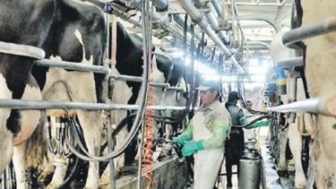 Piden impulsar exportaciones para mejorar la competitividad en el sector lácteo