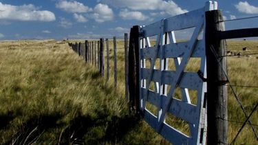 Se revitalizó el mercado rural inmobiliario