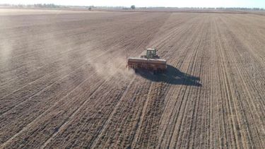 Siembra de cultivos invernales finalizó con 2,42 millones de hectáreas