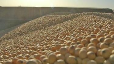 Establecen un mecanismo para facilitar la importación de soja estadounidense