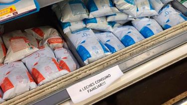 Villano: "Hay que incentivar la demanda de lácteos y generar nuevos mercados"