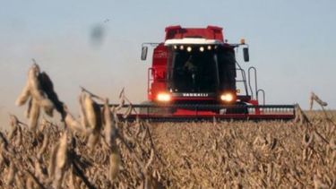 Confirman una cosecha récord de 147 millones de toneladas