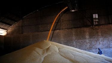 Ciara defendió la importación temporaria de soja pero criticó al Gobierno