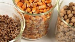 Granos: USDA ajustó previsiones a nivel mundial pero mantuvo la consideración para Argentina