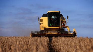 El potencial del agro brasileño.