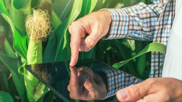 INTA e IICA conformaron una red regional de AgTech