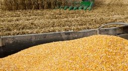 El Gobierno calcula que la cosecha superará los 130 millones de toneladas