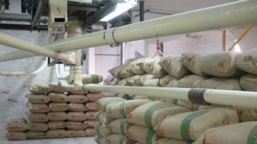 El país volverá a estar entre "los tres primeros exportadores de harina de trigo"
