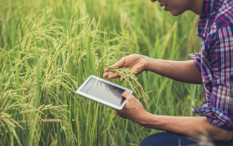 Remarcan que Argentina es "un buen escenario para empezar una agtech"