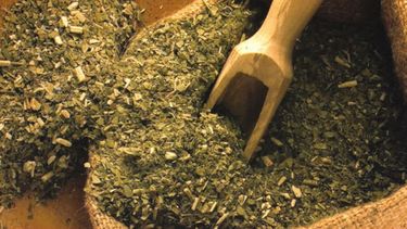 CONINAGRO anticipa problemas en el comercio yerbatero