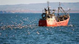 El sector pesquero avanzó más de 108% en junio y repuntaron las exportaciones