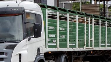 Senasa facilita la gestión del Documento de Tránsito Electrónico