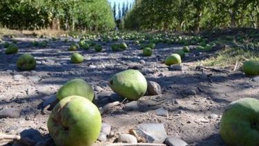 Economías regionales requieren asistencia de gobernadores