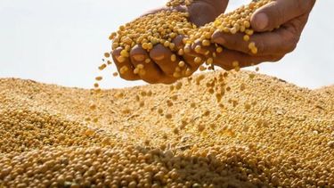 Comenzaron los pagos de compensaciones a pequeños productores de soja y maíz