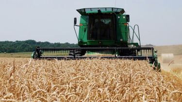 Productores santafesinos de trigo sembraron el 52% de la superficie estimada