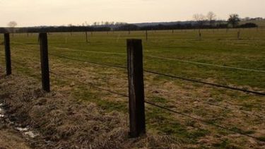 Rige Bienes Personales para campos a nombre de sociedades