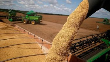 El perfil internacional del agro argentino.