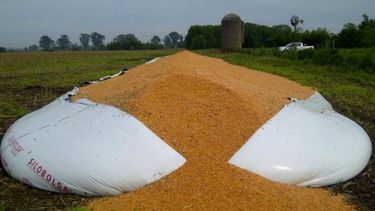 FAA "repudia" la rotura de silobolsas en Córdoba