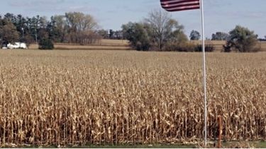 Argentina importa soja de Estados Unidos por primera vez en 20 años