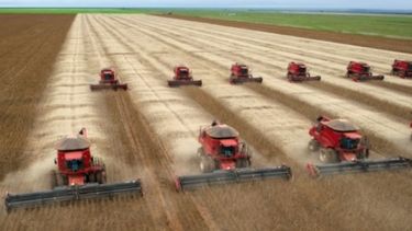 Prevén un aumento mayor al 15% de la cosecha de granos en Brasil