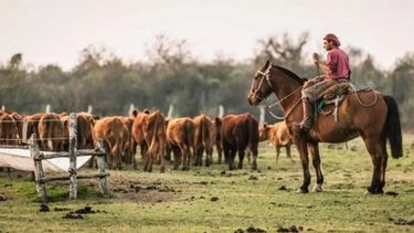 Las remuneraciones para los trabajadores del campo.