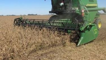 Cosecha de soja en la zona núcleo avanza de a poco