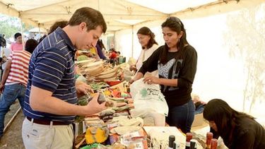 Feriantes buscan establecerse como una nueva opción entre los consumidores