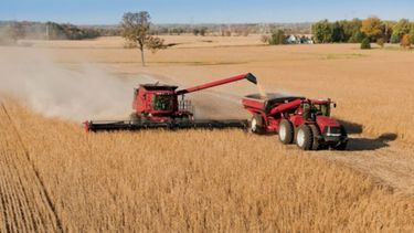 Estiman que la cosecha de soja quedará en las 44 millones de toneladas