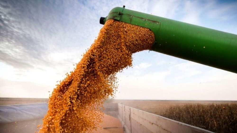 Exportaciones de maíz llegaron a un récord en octubre