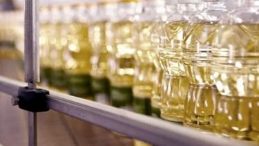 Crean programa para garantizar un precio accesible del aceite