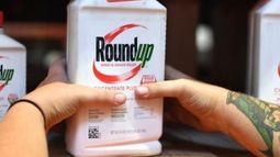 Bayer podría recibir una señal positiva de la Justicia estadounidense