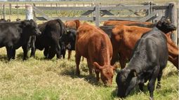 Productores rurales empiezan a pasarse de la ganadería al sector agrícola