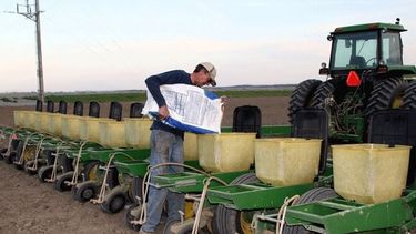El panorama agrícola sobre la siembra de trigo venidera.