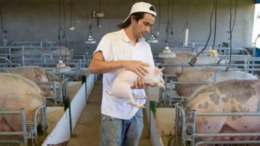 "Mi Galpón" incorpora a emprendedores agroindustriales y PYMES