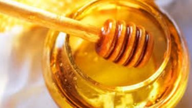 Fomentan la producción de miel orgánica en Corrientes