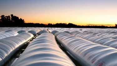 Lanzan programa que aportará 550 millones de dólares al agro