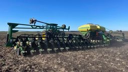 Para la campaña de maíz temprano 2023-24, la intención de siembra sería similar a la del año anterior, que cubrió 95.000 hectáreas, indicó la la Bolsa de Comercio de Santa Fe.