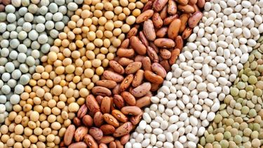 La dirigencia agropecuaria pide definiciones antes de la nueva cosecha