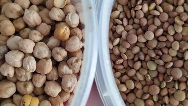 “Granelear”, la nueva tendencia de consumo para reducir el uso de plásticos