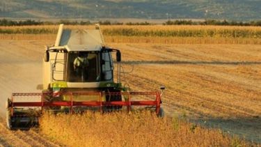 La UE libera el 99% del comercio agrícola del Mercosur