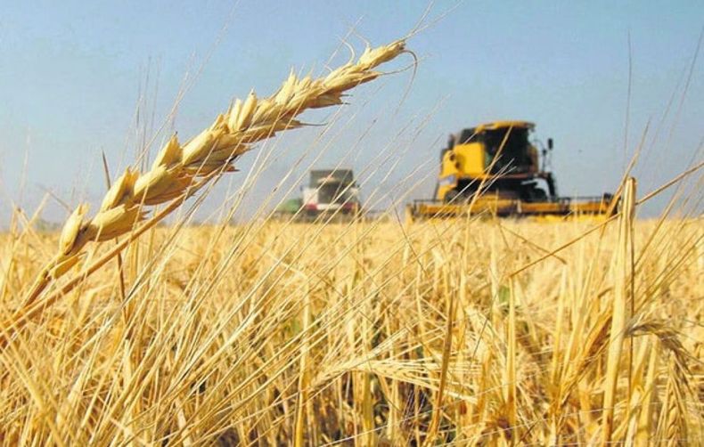 Brasil no renovará la compra extra Mercosur de 450 mil toneladas de trigo