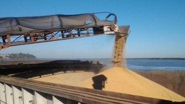 Oficializan el plazo de pago correspondiente a las retenciones de soja