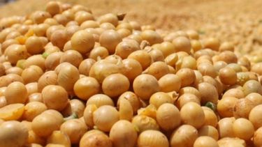 Modificar el esquema de retenciones en soja aportaría solo $27.000 millones