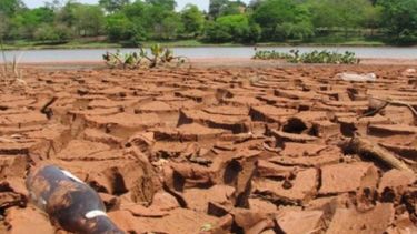 Llega ayuda oficial para productores chaqueños afectados por la sequía