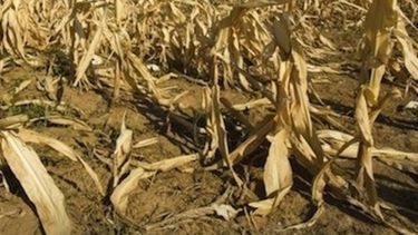 Efectos de la sequía se sentirán en el PBI argentino del 2018