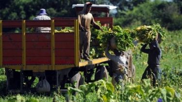 Entregan bono extraordinario de $50.000 para trabajadores rurales