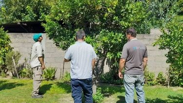 Prorrogan alerta fitosanitaria en Tucumán y Catamarca