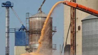 La agroexportación volvió a mostrar números negativos